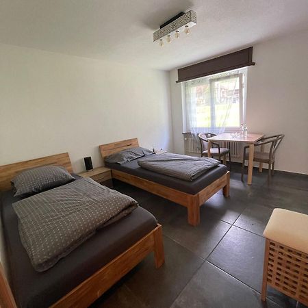 Ferienregion Andermatt - Studio In Wassen Eksteriør billede